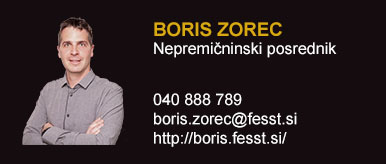 Boris Zorec